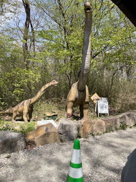 那須高原りんどう湖ファミリー牧場に投稿された画像（2023/4/24）