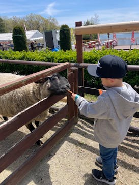 那須高原りんどう湖ファミリー牧場に投稿された画像（2023/4/24）