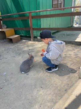 那須高原りんどう湖ファミリー牧場に投稿された画像（2023/4/24）