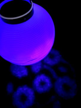 NAKED 桜の新宿御苑 2023に投稿された画像（2023/4/24）