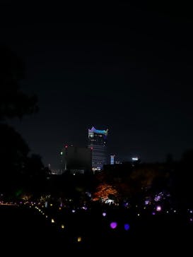 NAKED 桜の新宿御苑 2023に投稿された画像（2023/4/24）