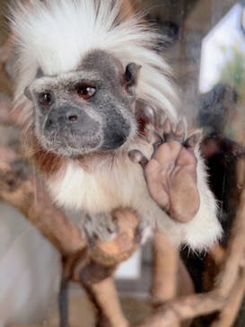 日立市かみね動物園に投稿された画像（2023/4/24）