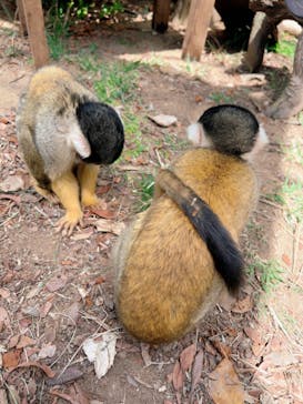 日立市かみね動物園に投稿された画像（2023/4/24）