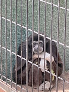 日立市かみね動物園に投稿された画像（2023/4/24）