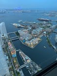 横浜ランドマークタワー 69階展望フロア スカイガーデンに投稿された画像（2023/4/24）