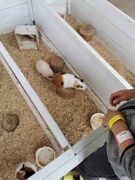 NESTA RESORT KOBE（ネスタリゾート神戸）に投稿された画像（2023/4/24）