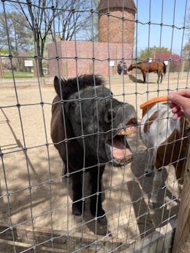 伊香保グリーン牧場に投稿された画像（2023/4/13）