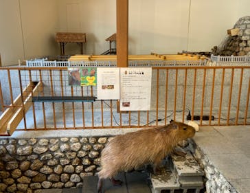 おさるの湯もみ処　おさ湯に投稿された画像（2023/4/14）