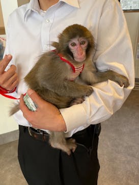 おさるの湯もみ処　おさ湯に投稿された画像（2023/4/14）