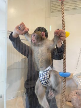 おさるの湯もみ処　おさ湯に投稿された画像（2023/4/14）