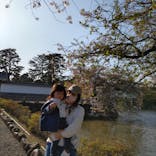 小田原城に投稿された画像（2023/4/25）