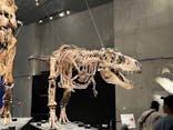 特別展「恐竜博2023」に投稿された画像（2023/4/25）