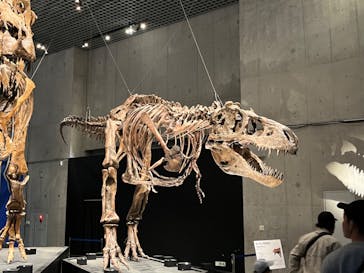 特別展「恐竜博2023」に投稿された画像（2023/4/25）