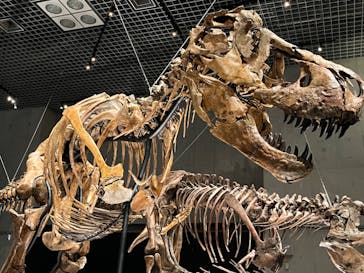 特別展「恐竜博2023」に投稿された画像（2023/4/25）