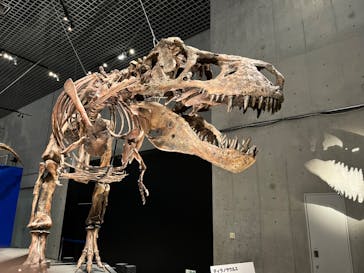 特別展「恐竜博2023」に投稿された画像（2023/4/25）