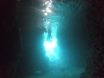 武藤潜水に投稿された画像（2023/4/25）