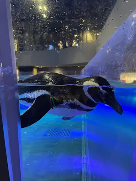 すみだ水族館に投稿された画像（2023/4/25）