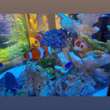 NARA KINGYO MUSEUMに投稿された画像（2023/4/25）