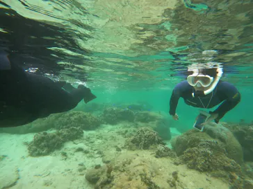 武藤潜水に投稿された画像（2023/4/25）