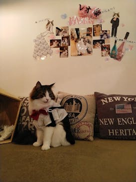 猫カフェモカ　池袋東口店に投稿された画像（2023/4/25）