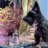 impera accessory（インペラアクセサリー）に投稿された画像（2023/4/25）