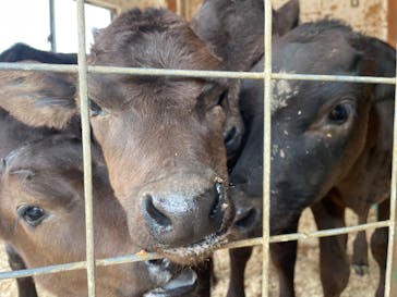 ワールド牧場に投稿された画像（2023/4/25）