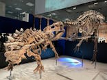 特別展「恐竜博2023」に投稿された画像（2023/4/26）