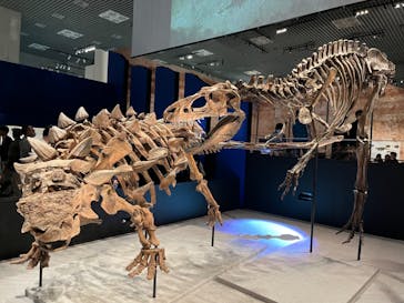 特別展「恐竜博2023」に投稿された画像（2023/4/25）
