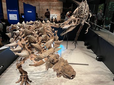 特別展「恐竜博2023」に投稿された画像（2023/4/25）