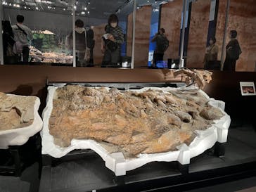 特別展「恐竜博2023」に投稿された画像（2023/4/25）