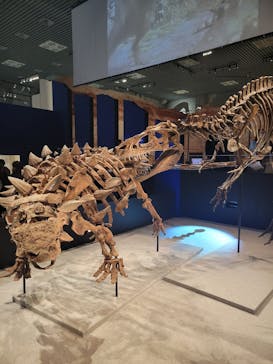 特別展「恐竜博2023」に投稿された画像（2023/4/25）