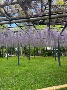 京阪電車に投稿された画像（2023/4/26）