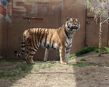 那須どうぶつ王国に投稿された画像（2023/4/26）