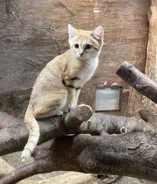 那須どうぶつ王国に投稿された画像（2023/4/26）