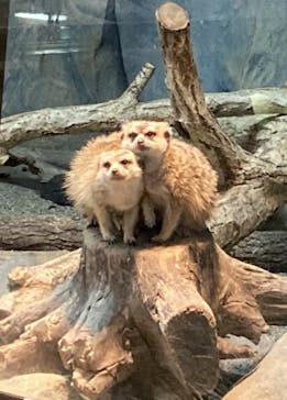 那須どうぶつ王国に投稿された画像（2023/4/26）