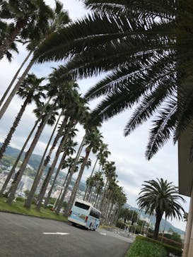 オーシャンスパ Fuuaに投稿された画像（2023/4/26）