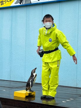 南知多ビーチランド＆南知多おもちゃ王国に投稿された画像（2023/4/26）