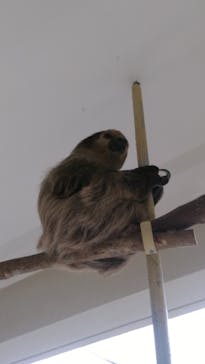 ネオパークオキナワに投稿された画像（2023/4/26）