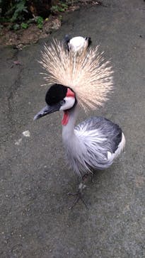 ネオパークオキナワに投稿された画像（2023/4/26）