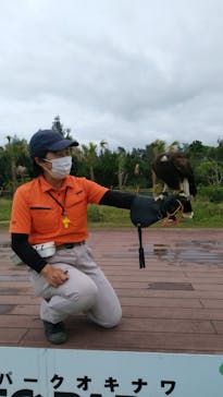 ネオパークオキナワに投稿された画像（2023/4/26）