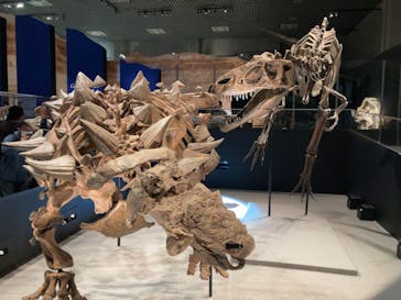 特別展「恐竜博2023」に投稿された画像（2023/4/26）