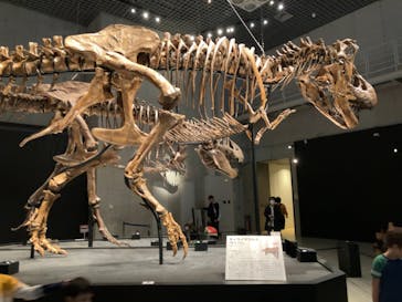 特別展「恐竜博2023」に投稿された画像（2023/4/26）