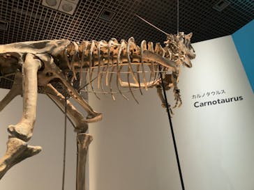 特別展「恐竜博2023」に投稿された画像（2023/4/26）