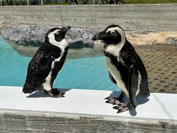 マリンワールド海の中道に投稿された画像（2023/4/26）