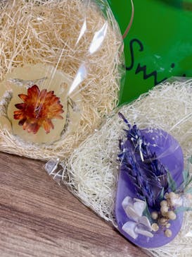 ずこうしつ〜sugamo〜に投稿された画像（2023/4/26）