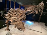 特別展「恐竜博2023」に投稿された画像（2023/4/26）