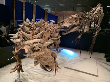 特別展「恐竜博2023」に投稿された画像（2023/4/26）