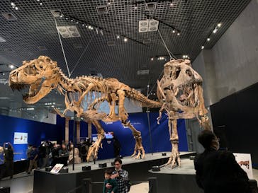 特別展「恐竜博2023」に投稿された画像（2023/4/26）