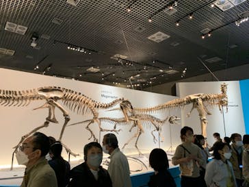 特別展「恐竜博2023」に投稿された画像（2023/4/26）