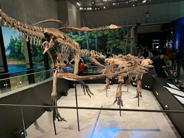 特別展「恐竜博2023」に投稿された画像（2023/4/26）